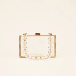 Clear Clutch With Clear Beads