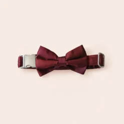 Sadie Dog Bow Tie Collar - Sheen Cabernet