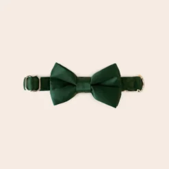 Sadie Dog Bow Tie Collar - Sheen Emerald