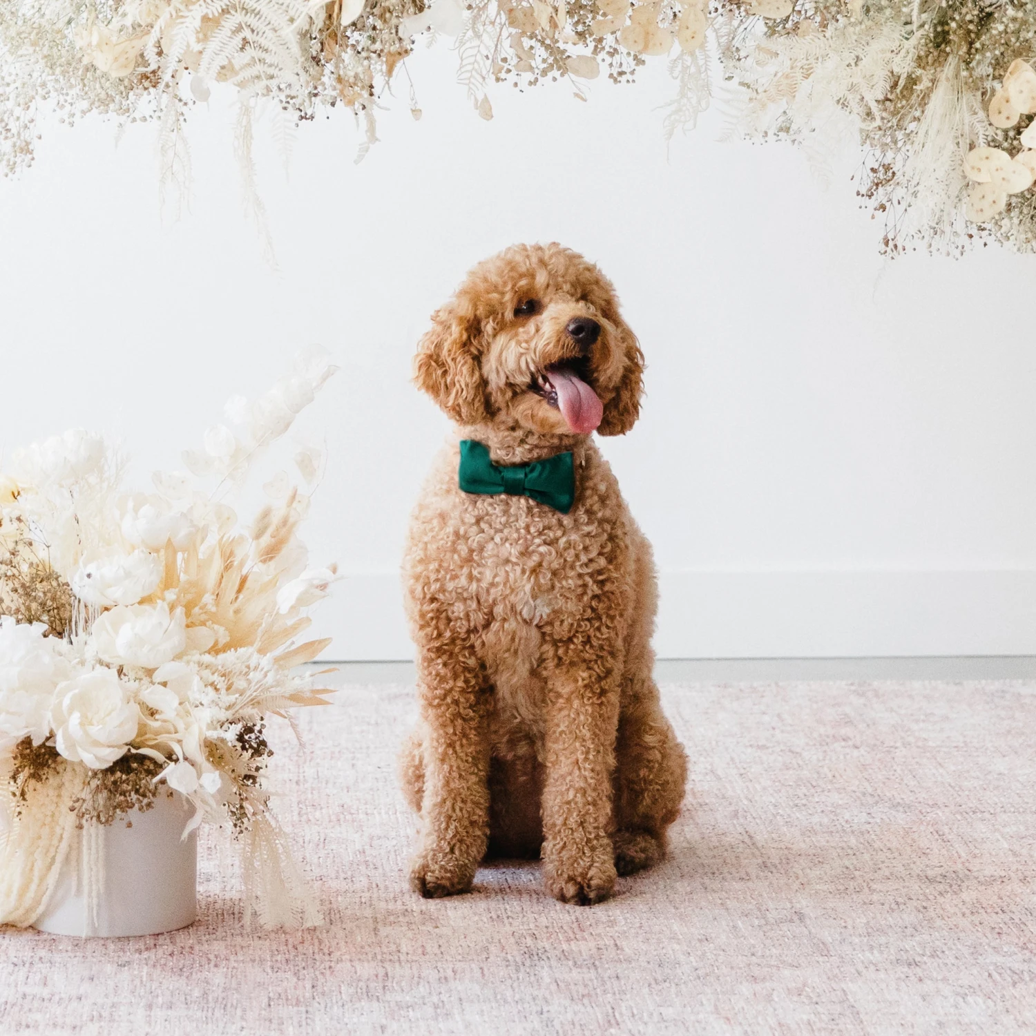 Sadie Dog Bow Tie Collar - Sheen Emerald - Image 2