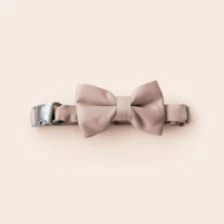 Sadie Dog Bow Tie Collar - Sheen Taupe