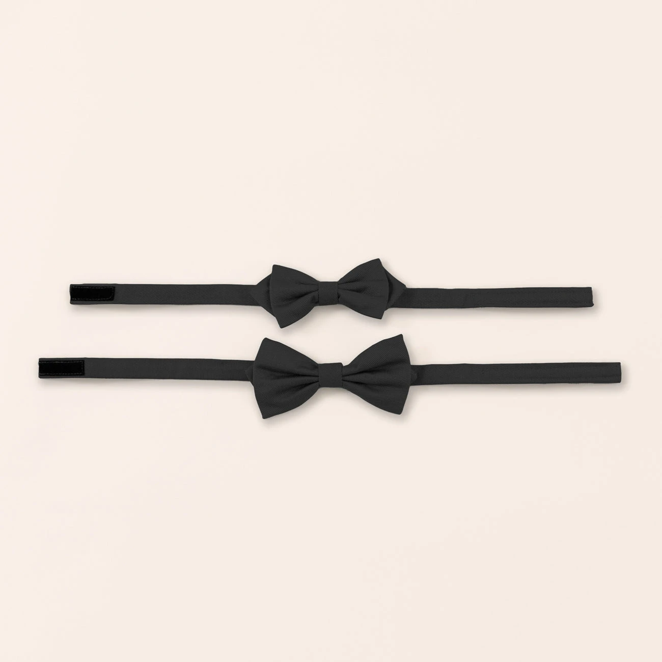 Harry Bow Tie - Black - Image 3