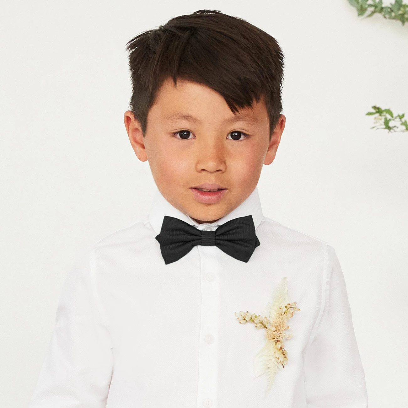 Harry Bow Tie - Black - Image 2