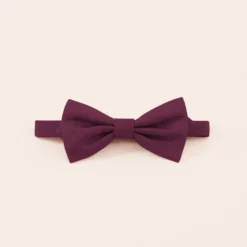 Harry Bow Tie - Cabernet