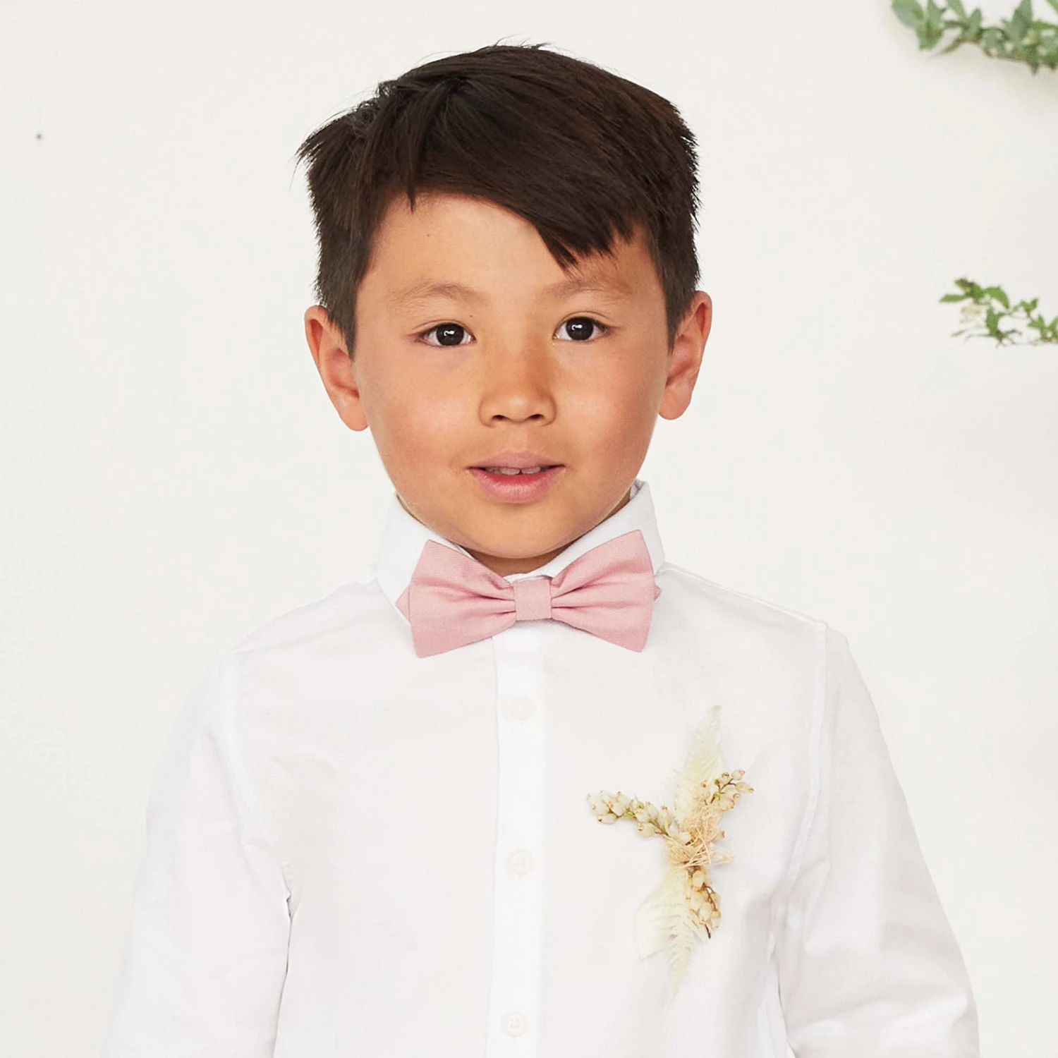 Harry Bow Tie - Dusty Rose - Image 2