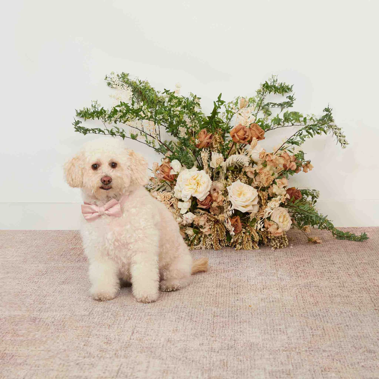 Sadie Dog Bow Tie Collar - Dusty Rose - Image 4