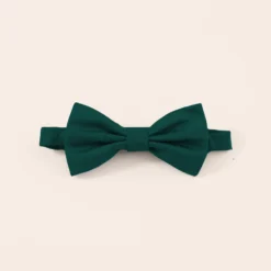 Harry Bow Tie - Emerald