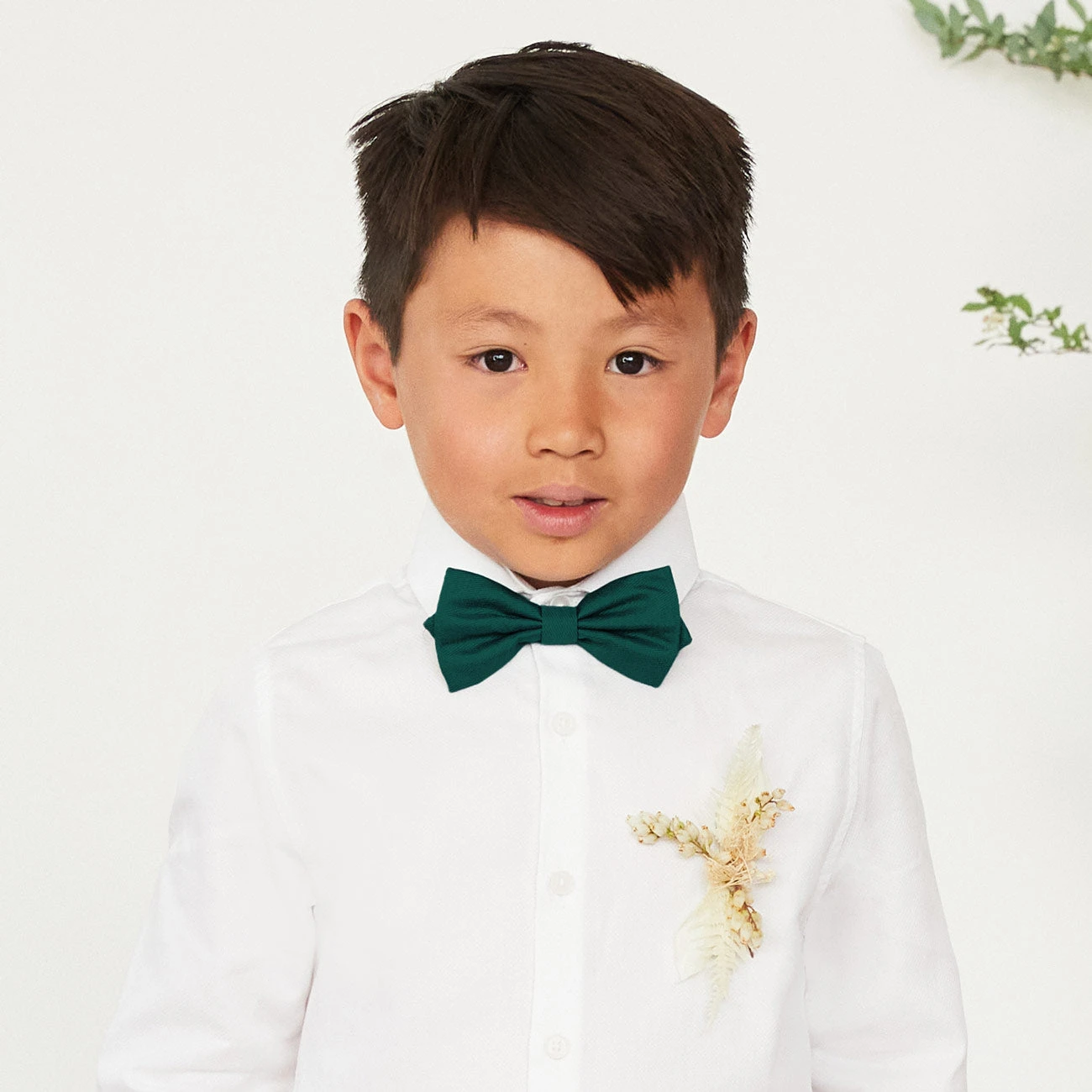 Harry Bow Tie - Emerald - Image 2