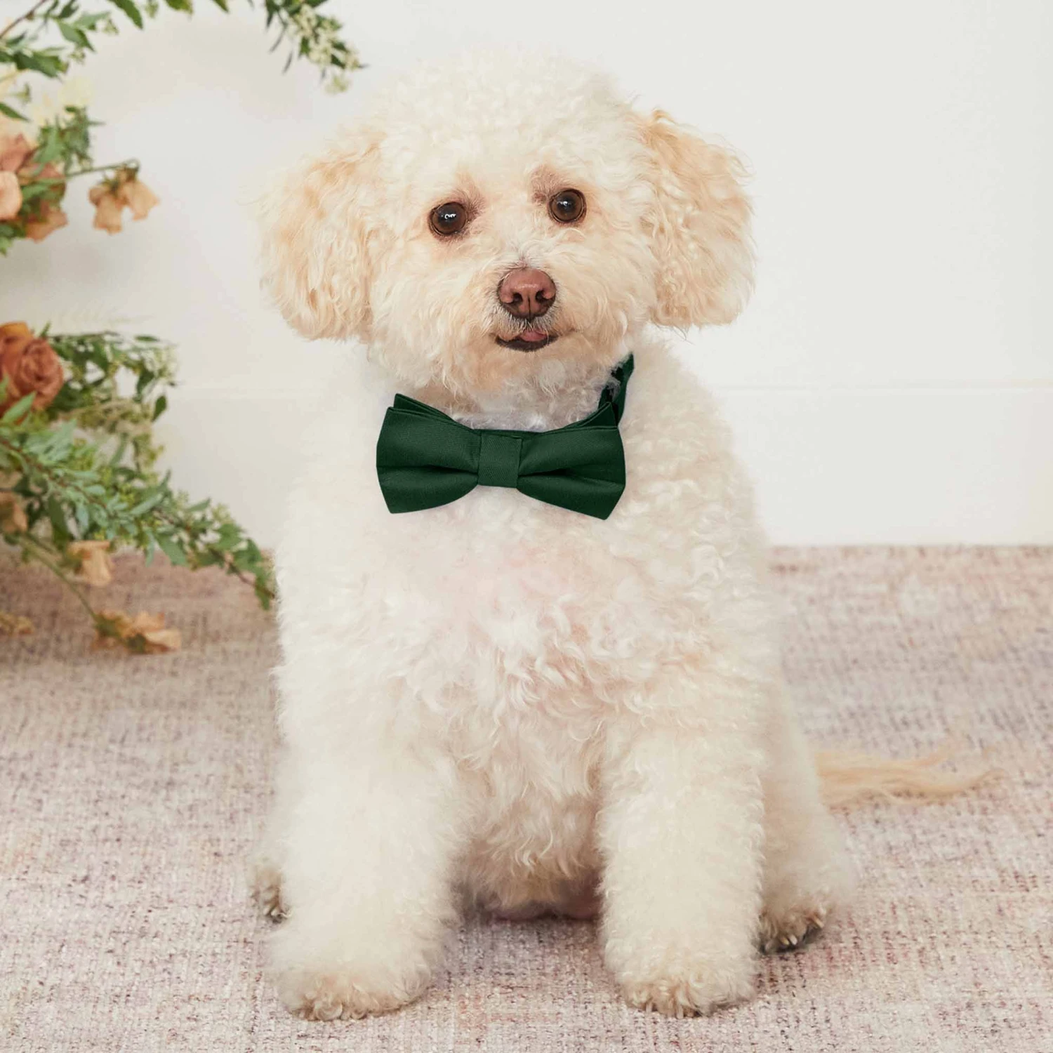 Sadie Dog Bow Tie Collar - Emerald - Image 2