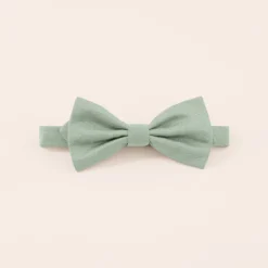 Harry Bow Tie - Sage