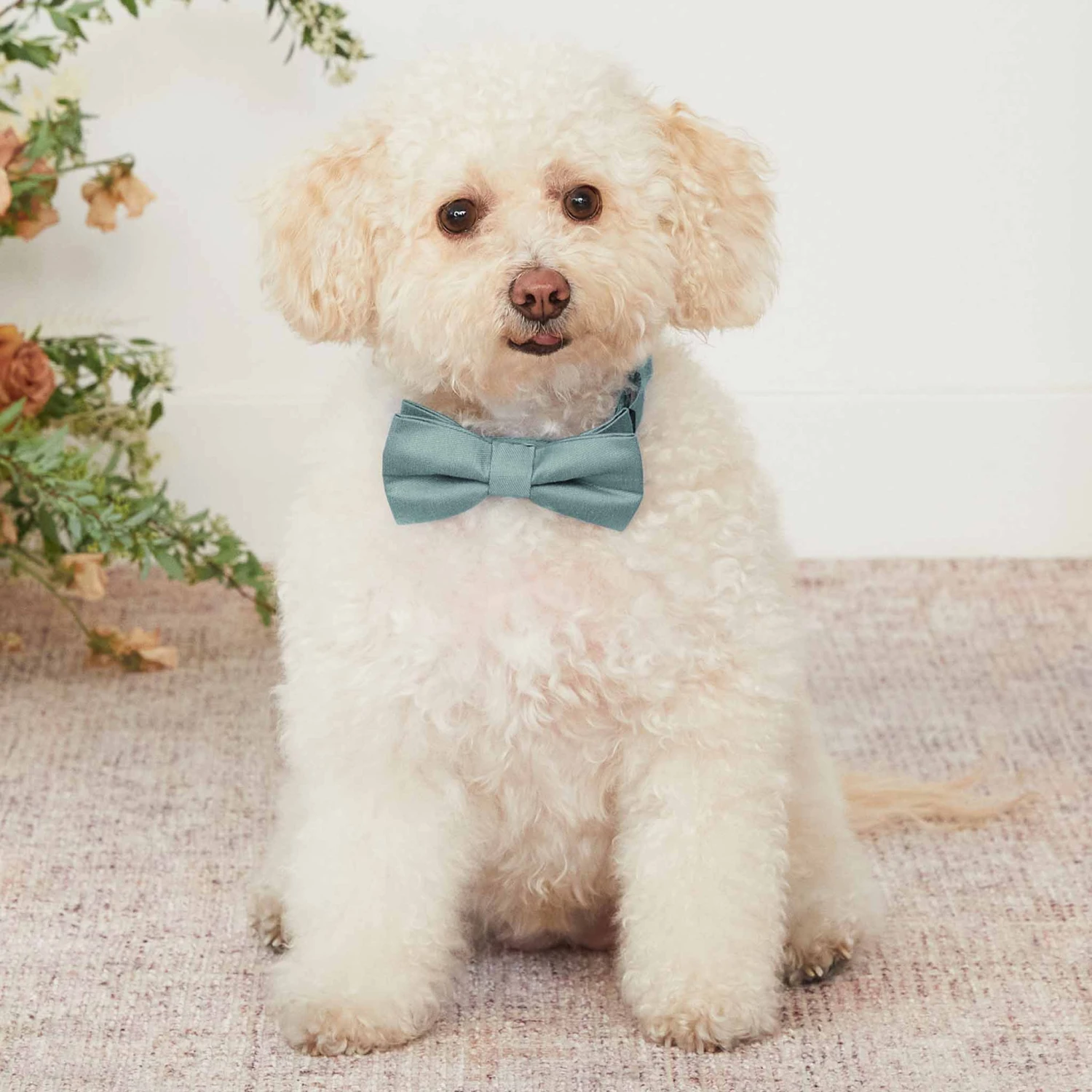 Sadie Dog Bow Tie Collar - Sea Glass - Image 2