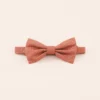 Harry Bow Tie - Terracotta