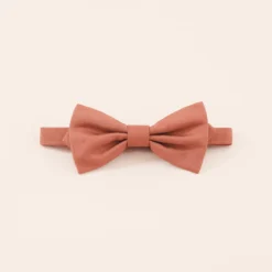 Harry Bow Tie - Terracotta