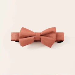 Sadie Dog Bow Tie Collar - Terracotta